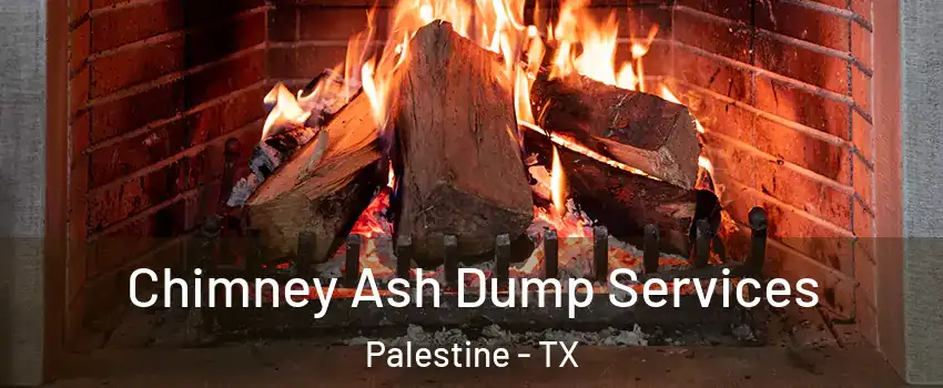  Chimney Ash Dump Services Palestine - TX
