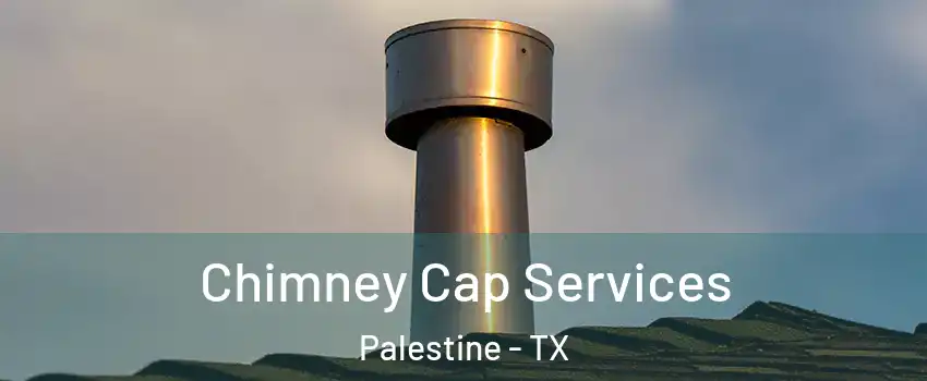  Chimney Cap Services Palestine - TX