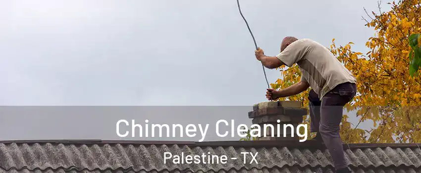  Chimney Cleaning Palestine - TX