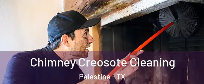  Chimney Creosote Cleaning Palestine - TX