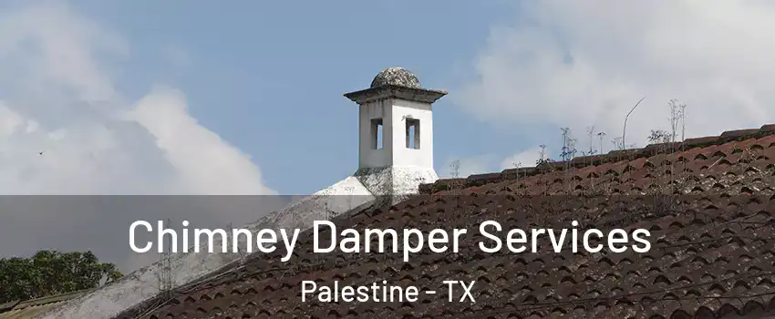  Chimney Damper Services Palestine - TX