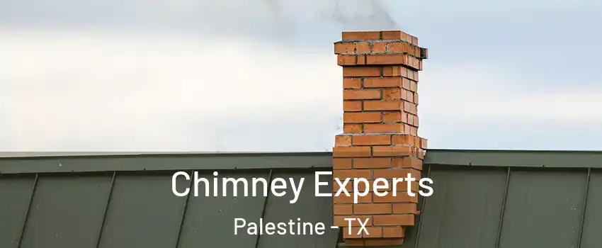  Chimney Experts Palestine - TX