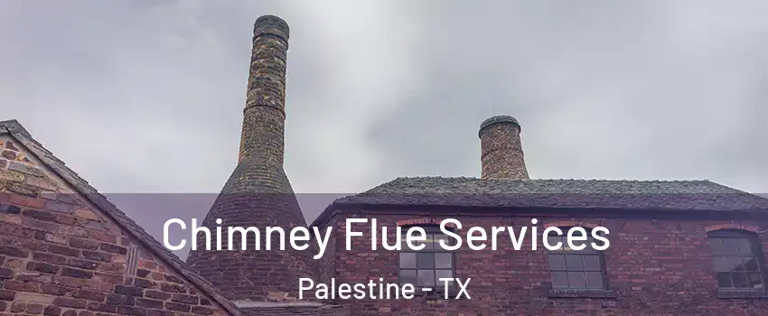  Chimney Flue Services Palestine - TX