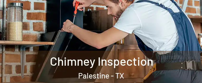  Chimney Inspection Palestine - TX