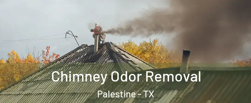 Chimney Odor Removal Palestine - TX