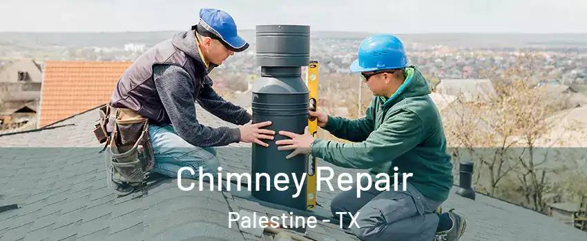  Chimney Repair Palestine - TX