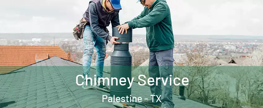  Chimney Service Palestine - TX
