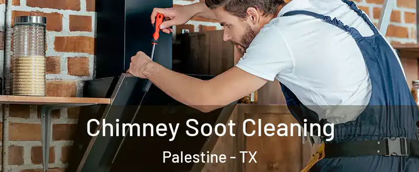  Chimney Soot Cleaning Palestine - TX