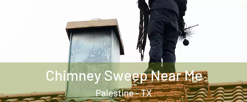  Chimney Sweep Near Me Palestine - TX