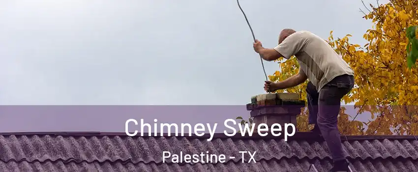  Chimney Sweep Palestine - TX