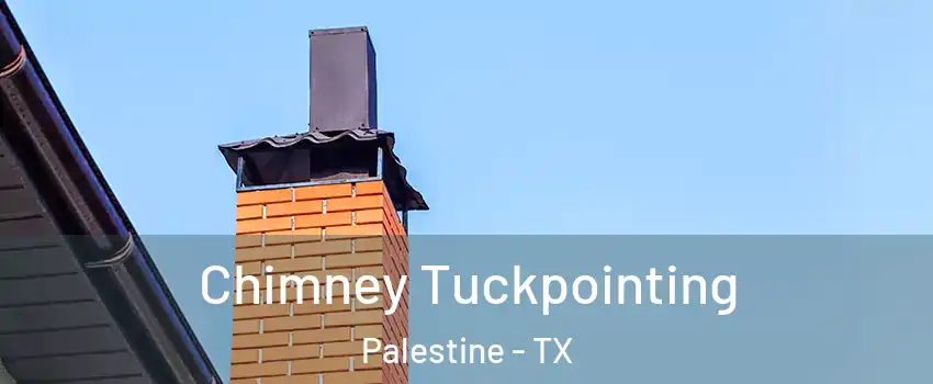  Chimney Tuckpointing Palestine - TX