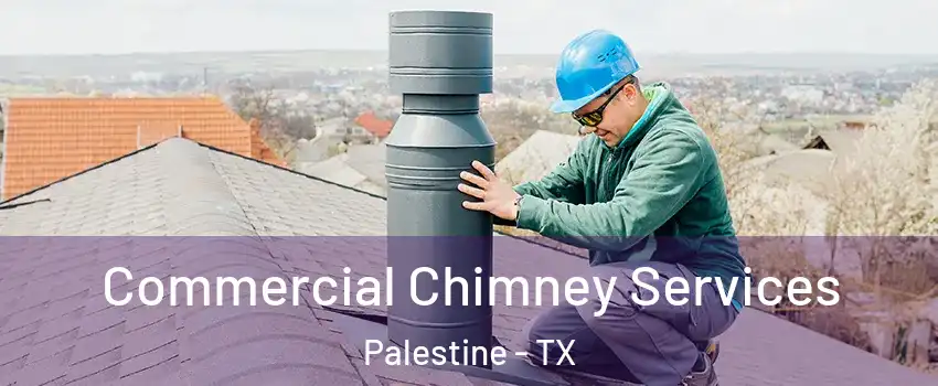  Commercial Chimney Services Palestine - TX