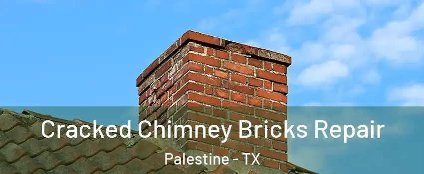  Cracked Chimney Bricks Repair Palestine - TX