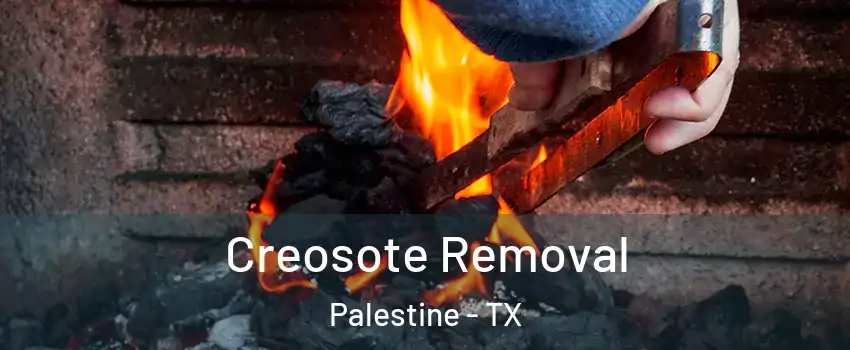 Creosote Removal Palestine - TX