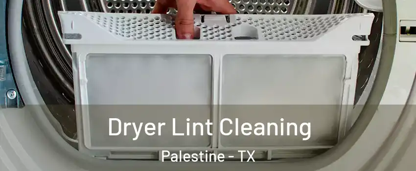  Dryer Lint Cleaning Palestine - TX