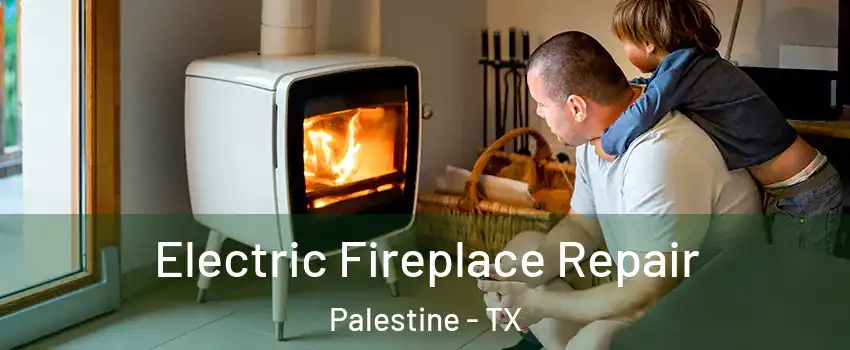  Electric Fireplace Repair Palestine - TX