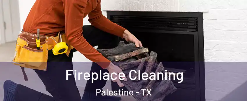  Fireplace Cleaning Palestine - TX