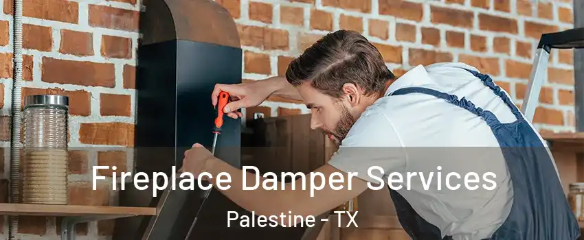  Fireplace Damper Services Palestine - TX
