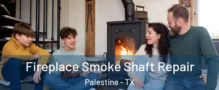  Fireplace Smoke Shaft Repair Palestine - TX