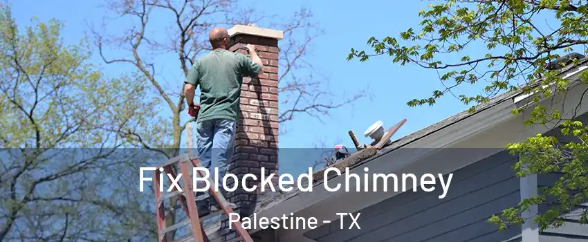  Fix Blocked Chimney Palestine - TX
