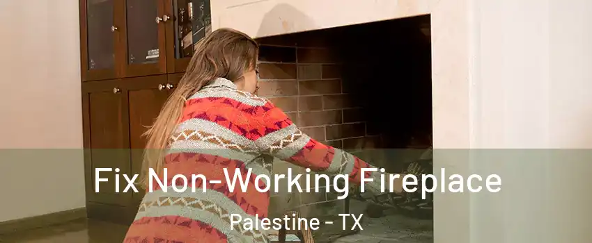  Fix Non-Working Fireplace Palestine - TX