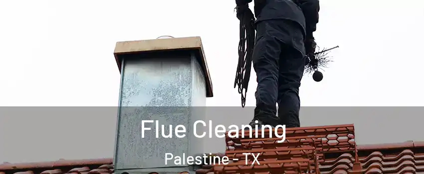  Flue Cleaning Palestine - TX