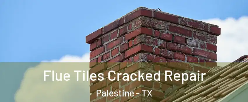  Flue Tiles Cracked Repair Palestine - TX