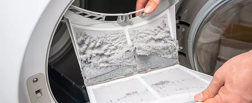 Best Dryer Lint Removal Company in Palestine, Texas
