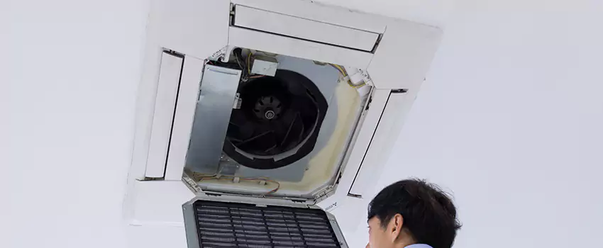 Benefits of Professional Air Duct Cleaning in Palestine, Texas