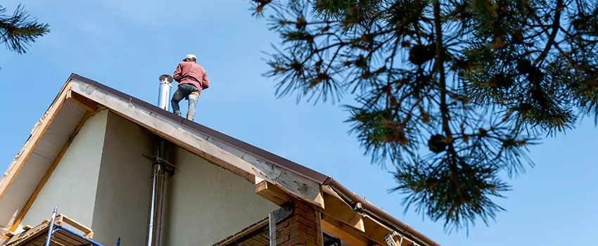 Birds Removal Contractors from Chimney in Palestine, TX