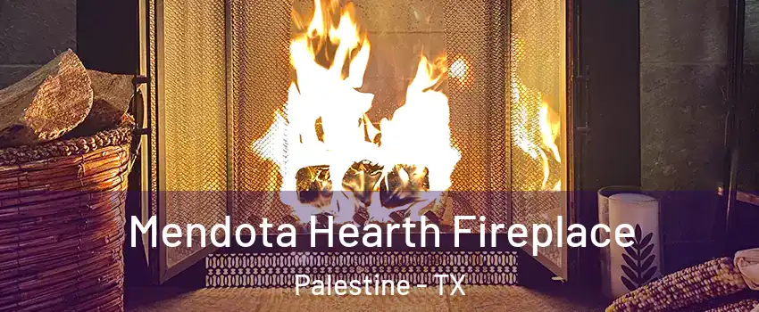  Mendota Hearth Fireplace Palestine - TX