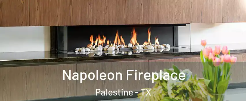  Napoleon Fireplace Palestine - TX