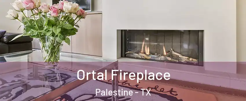  Ortal Fireplace Palestine - TX