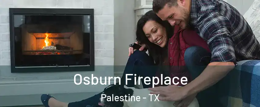  Osburn Fireplace Palestine - TX