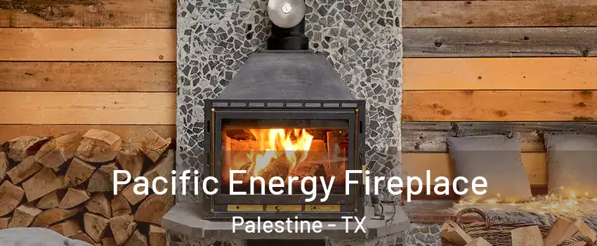  Pacific Energy Fireplace Palestine - TX