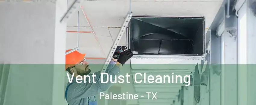 Vent Dust Cleaning Palestine - TX